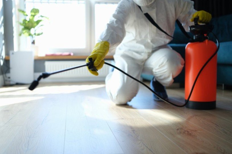 Factors to Evaluate Pest Control Services in Kansas City